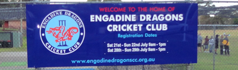 Dragons Banner