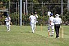 IMG_1009.jpg