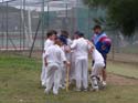 Cricket 015