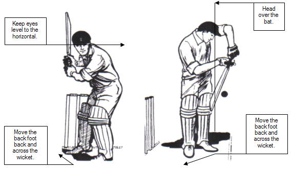 Coaching for Batting – Engadine Dragons Cricket Club